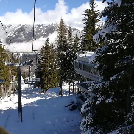 Sole Alto Montana * Mezzana (Trentino Alto Adige)